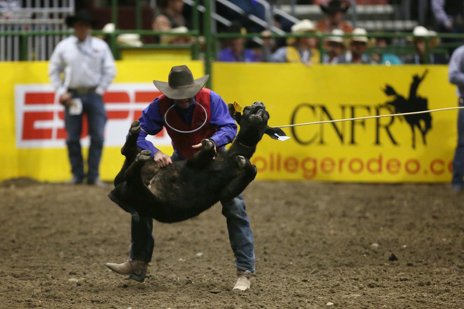 CNFR